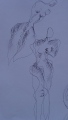 corneliart-marin - DESSINS