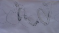 corneliart-marin - DESSINS