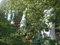 corneliart-marin - INSTALLATIONS