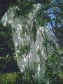 corneliart-marin - INSTALLATIONS