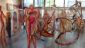 corneliart-marin - PEINTURE EN TRANSPARENCE
