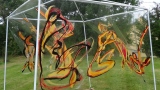 corneliart-marin - PEINTURE EN TRANSPARENCE