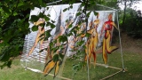 corneliart-marin - PEINTURE EN TRANSPARENCE