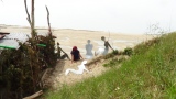 Point d'Agon (50) - - METALLIQUE
